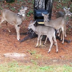 Meet your Posher, Tina